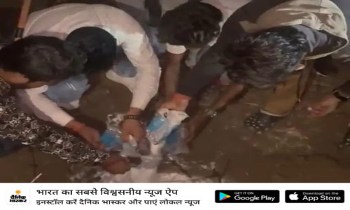 बजरंग दल और सिनेक्स इंडिया फाउंडेशन